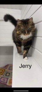 Jerry Best
