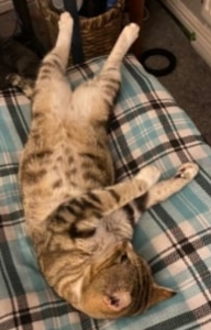 Charlie Chilling